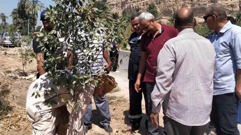 حملات تشجير بمركز