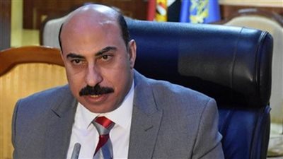 محافظ أسوان: 