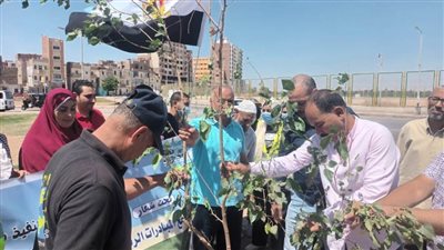 محافظ أسيوط حملات تشجير ونظافة وتوعية بمنطقة الوليدية