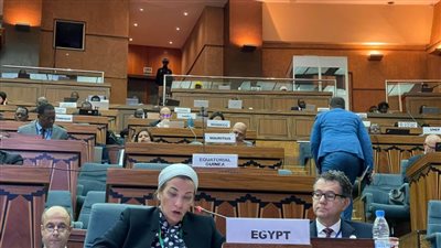 وزيرة البيئة: مبادرات عالمية لدعم إفريقيا للتكيف مع تغير المناخ