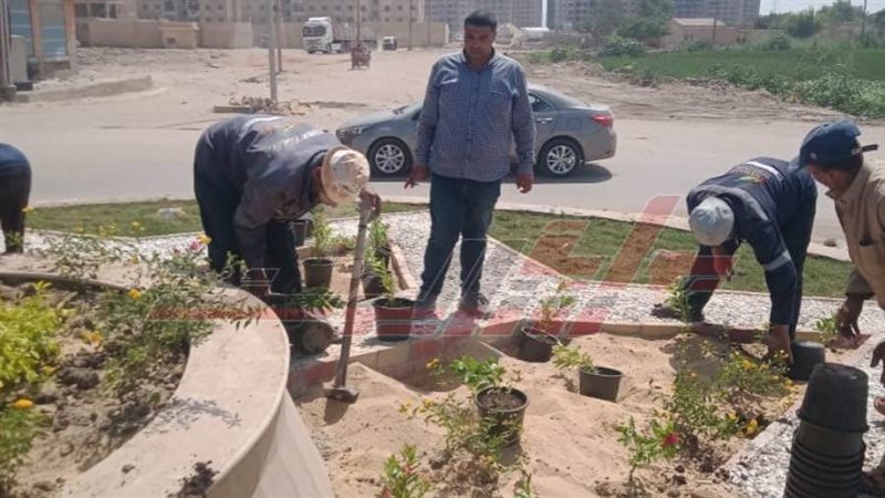 تطوير الميادين