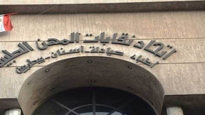 اتحاد نقابات المهن