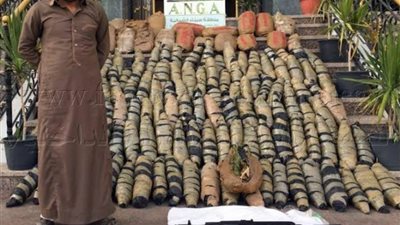 ضبط 980 كجم مواد مخدرة بأكثر من 11مليون جنيه في حملة أمنية بجنوب سيناء