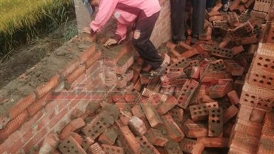 إزالة فورية في المهد لـ3 حالات تعدٍ على الأراضي الزراعية