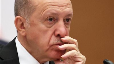 وكالة: أردوغان يسعى للحصول على مساعدة روسيا في مواجهة الضغوط الاقتصادية