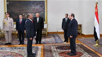 الرئيس السيسي يتسلم أوراق اعتماد 13 سفيراً جديداً