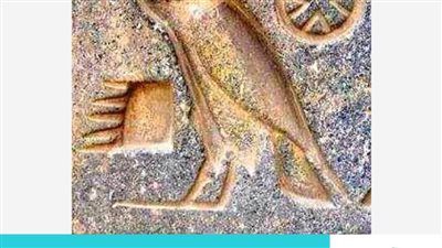 تعرف على علامة 