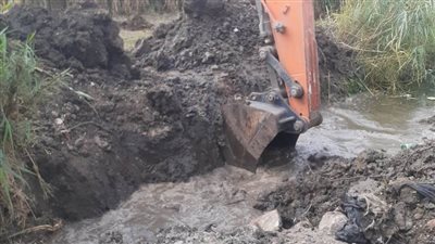 إزالة 50 حالة تعدٍ على الأراضي الزراعية وأملاك الدولة بالبحيرة 