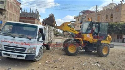 حملات نظافة وتجميل بمراكز وقرى كفر الشيخ