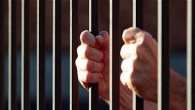 القبض على المتهمين بالشروع في قتل جارهم في كفر شكر