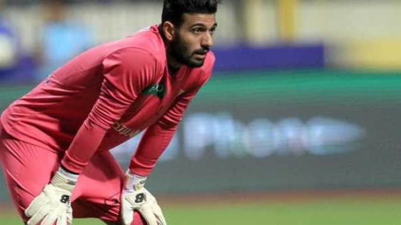 أحمد الشناوي