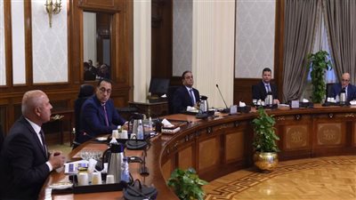 رئيس الوزراء: الدولة مهتمة باستكمال تطوير منفذ السلوم البري 