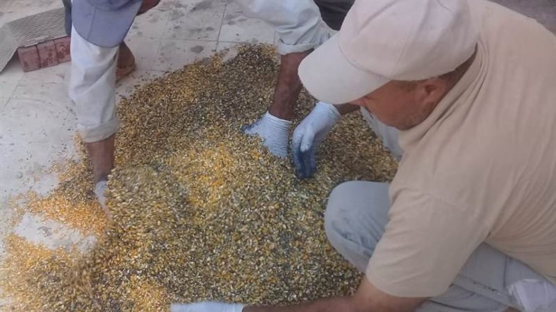 حملة مكبرة لمكافحة