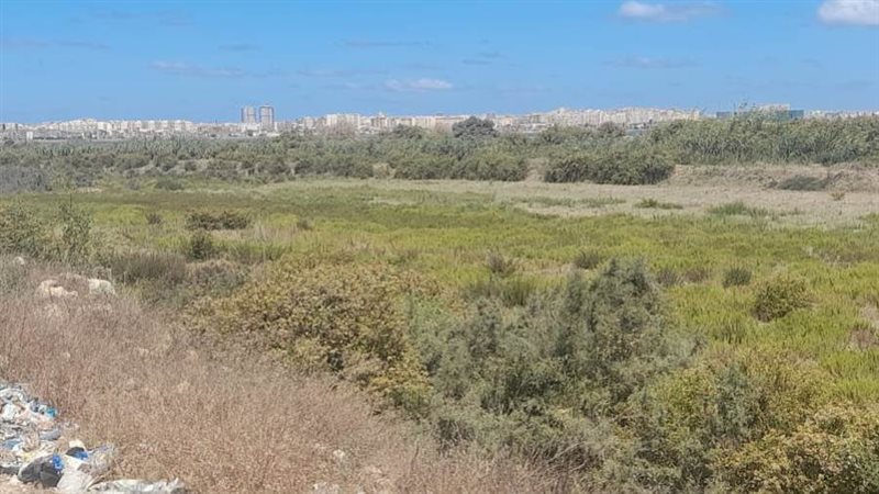 محافظ الإسكندرية