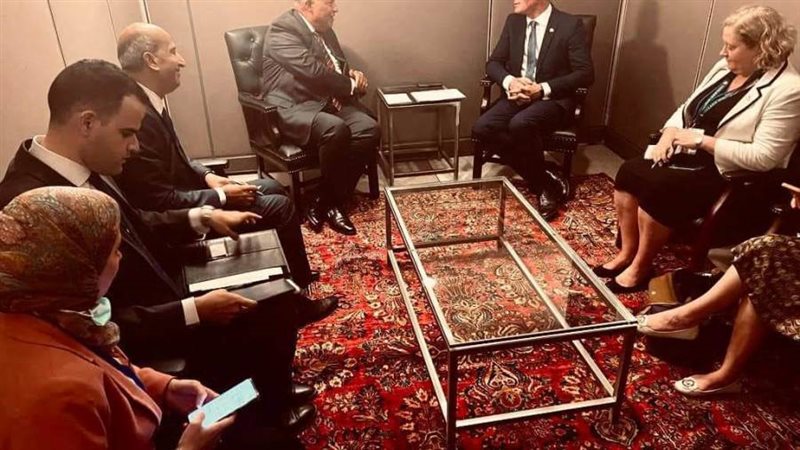 شكري وسيمون