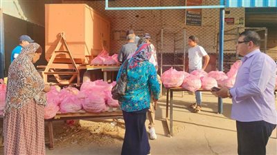 ضبط 12 مخالفة تموينية خلال حملة بالدقهلية 