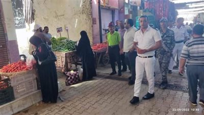 الوحدة المحلية بالخارجة.. حملات إزالة وتقنين أوضاع المحلات وصيانة وإصلاح المرافق 