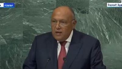 سامح شكري في كلمته بـ 