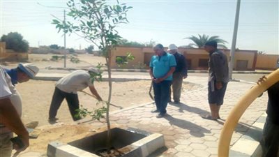 رئيس الحسنة: زراعة 300 شجرة في الشوارع  