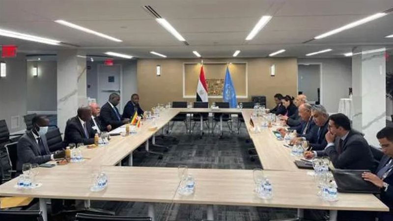 سامح شكري خلال لقائه