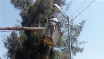 ترشيد كهرباء بـ48026 عمودًا بطرق وشوارع وميادين الغربية
