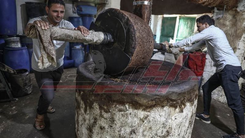 تصوير: محمد الشاهد