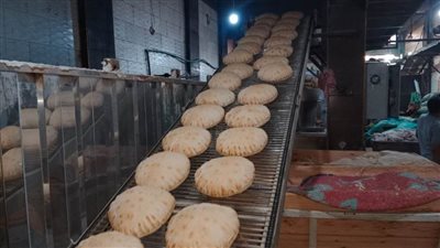 ضبط 13 طن أرز وتحرير 96 محضر مخالفات تموينية بالدقهلية 