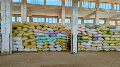 توريد 1710 أطنان أرز لمخازن البحيرة منذ بداية الموسم