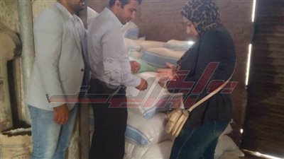ضبط 15 طن شعير قبل بيعها في السوق السوداء بكفر الشيخ