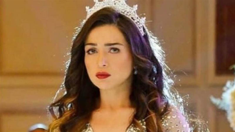 مي عز الدين