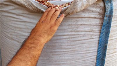 ضبط 62 طن فول منتهي الصلاحية داخل شركة لتعبئة البقوليات بالبحيرة