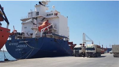 11 سفينة محملة بأكثر من 217 ألف طن من الحبوب الأوكرانية تغادر إلى إفريقيا وآسيا وأوروبا