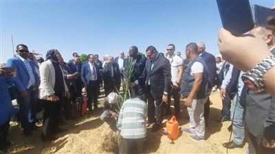ثلاثة وزراء يزرعون النخيل بحديقة مطار الوادي الجديد في العيد القومي للمحافظة  