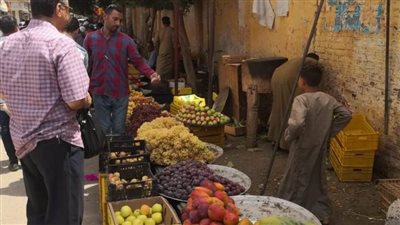 تحرير 90 مخالفة متنوعة لضبط الأسواق بالمنيا 