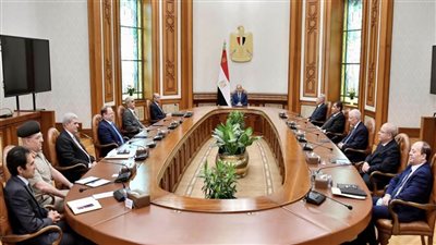 الرئيس السيسي لأعضاء الهيئات القضائية: 