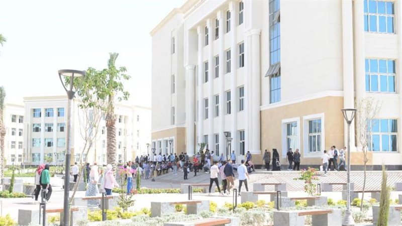 جامعة المنصورة الأهلية
