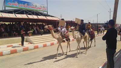بحضور وزير الشباب والرياضة انطلاق مهرجان الهجن لأول مرة في الوادي الجديد
