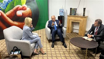نشاط مكثف لوزير الخارجية خلال الاجتماع الوزاري التحضيري لمؤتمر COP27 بكينشاسا