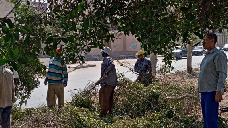 بوابة روز اليوسف