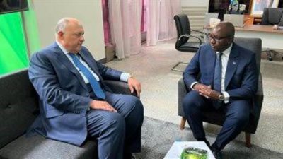 شكري يؤكد لرئيس الكونغو الديمقراطية التزام مصر بتقديم الدعم لبلاده