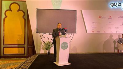 وزير المالية : الرئيس السيسي يُعيد تشكيل الوجه الاقتصادي لمصر  بتمكين القطاع الخاص