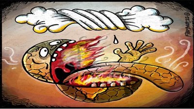 #الريشة_في_مواجهة_التغيرات_المناخية 