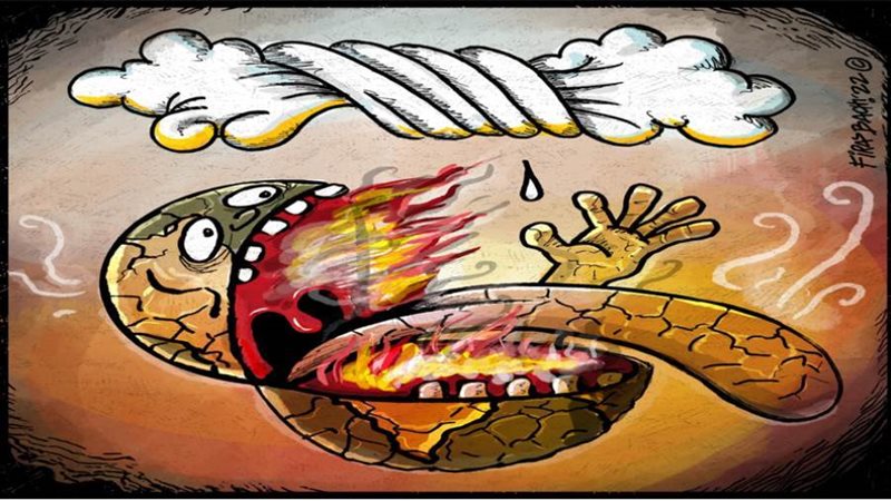 بوابة روز اليوسف