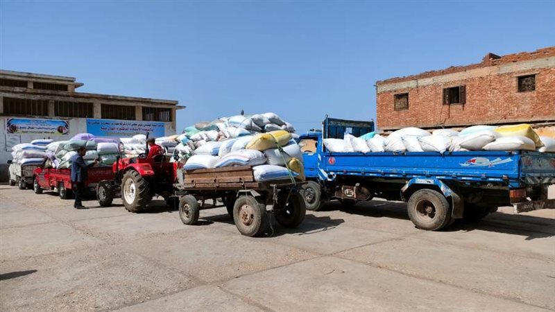 توريد الأرز لشون