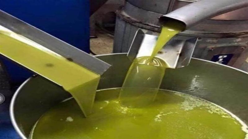 معصرة زيت الزيتون