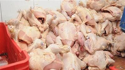 ضبط 7 أطنان دواجن فاسدة بثلاجتين حفظ سلع غذائية بالقليوبية 