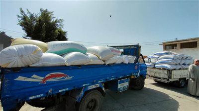 حملات رقابية مكبرة.. ضبط 3 سيارات محملة بـ10 أطنان أرز محظور تداوله بالبحيرة