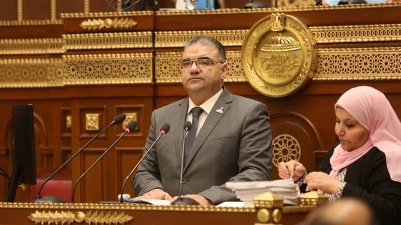 النائب سيد حجازى