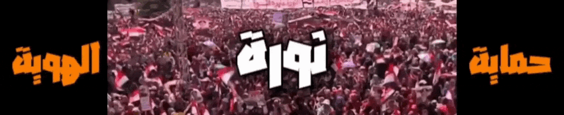 ثورة 30 يونيو