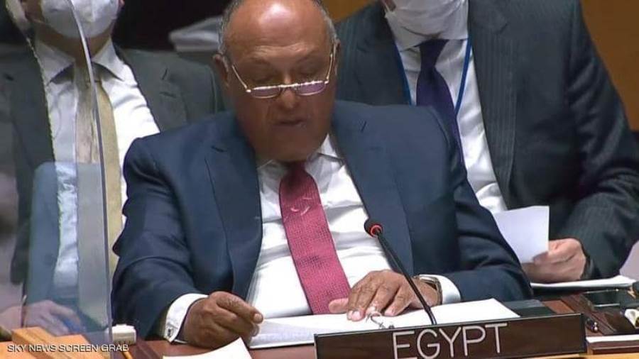 سامح شكري وزير الخارجية